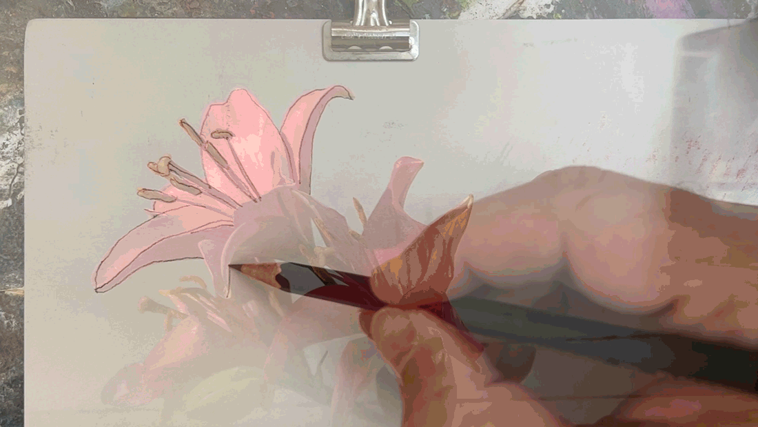 NLXL Artist Drawing Flowers